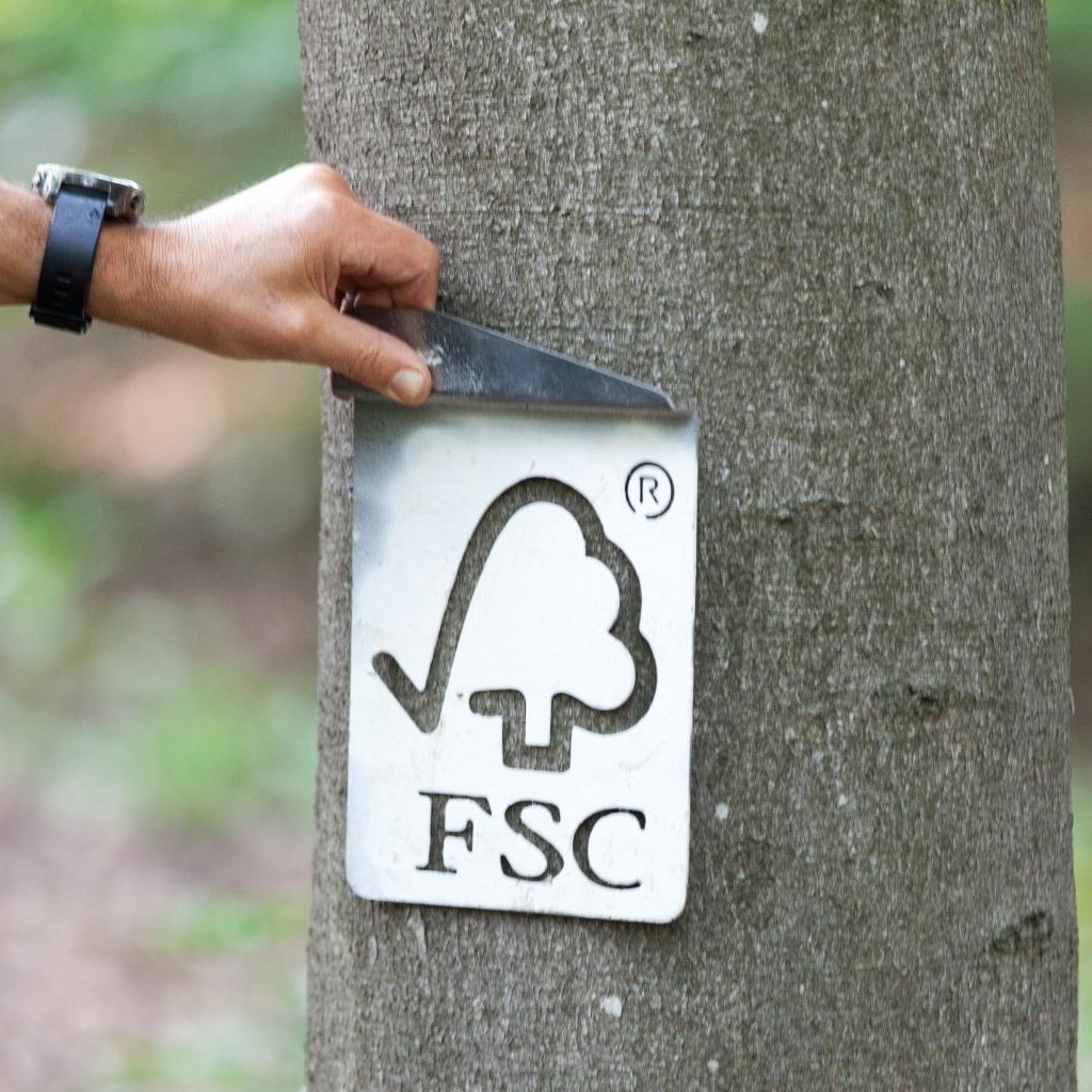 FSC check tree