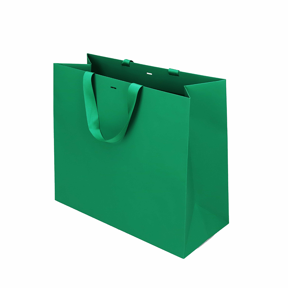Custom Eco Friendly Carry Paper Bag