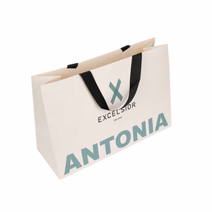 Custom Printed Gift Paper Bag