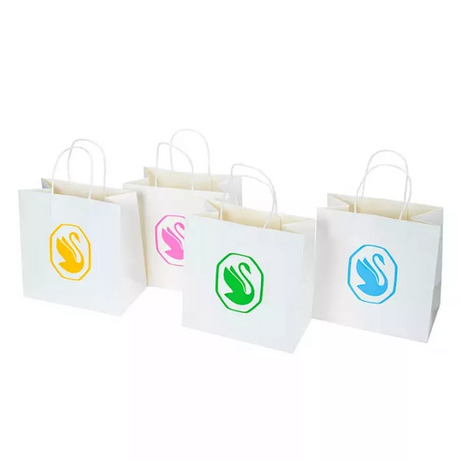 Custom Packaging bags_697_697.png